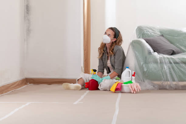 Reliable Commercial Mold Remediation contractor in Waconia, MN by 24 Hour Mold Removal
